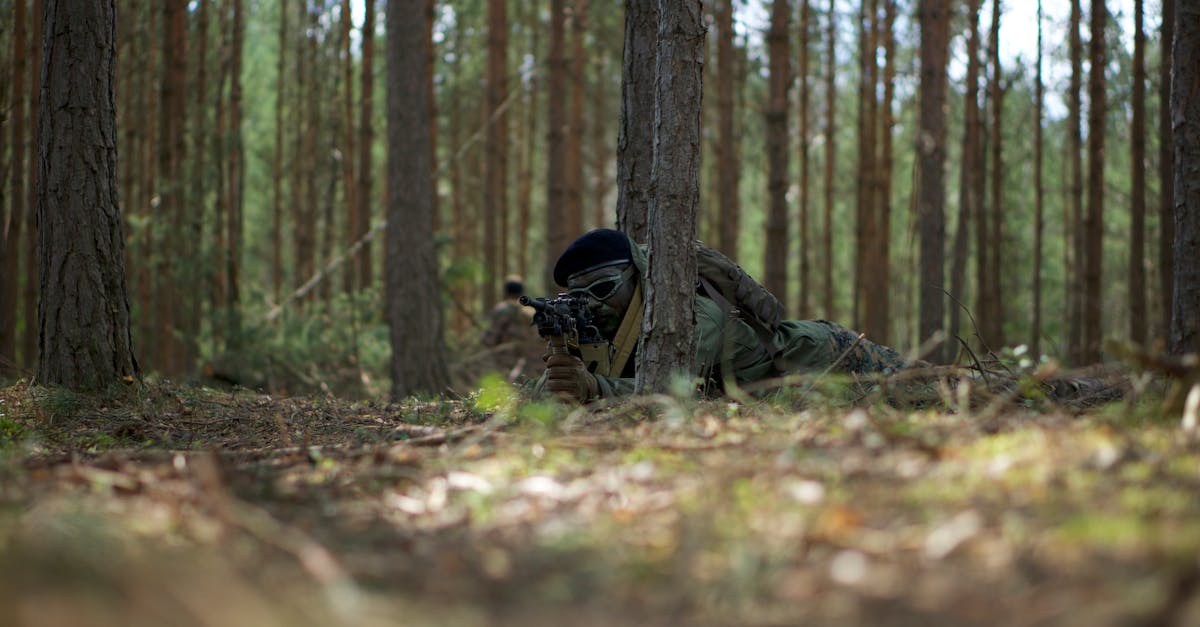 DogYun- 鼎创平台代理