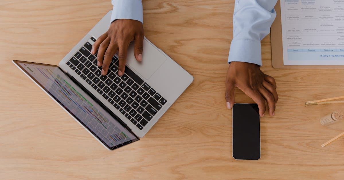 韩免铁塔猫济州岛（限定）：lol购买皮肤平台