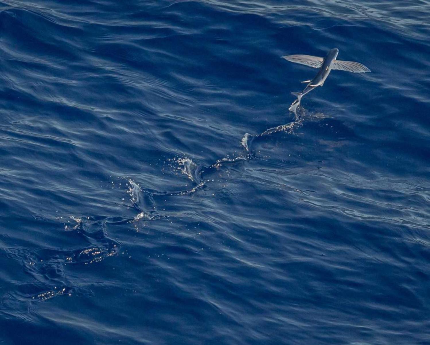 大众娱乐,注册|怎么注册oddba账号