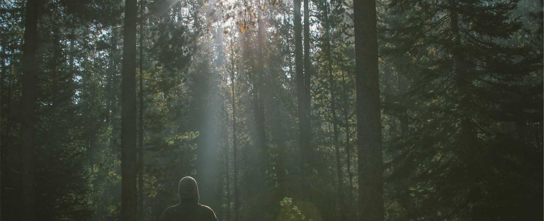 大华功夫：易知测算平台代理