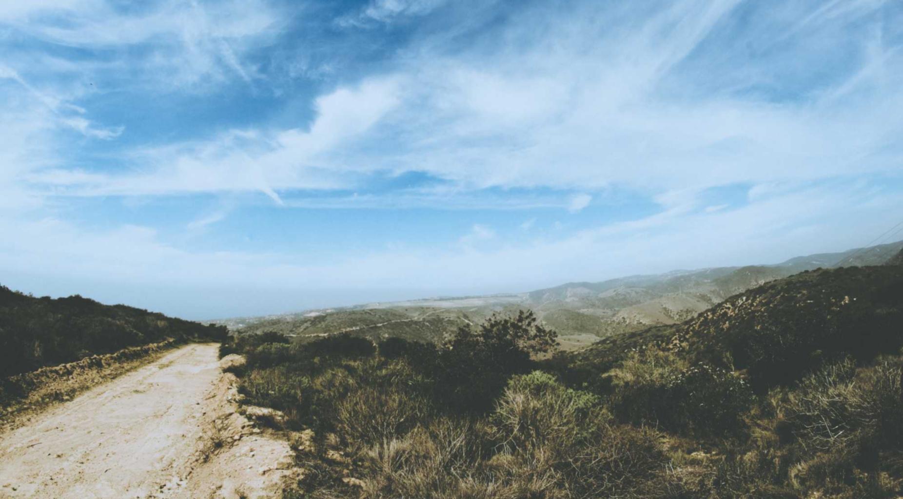 火网实名账号：清风音乐详情下载教程app