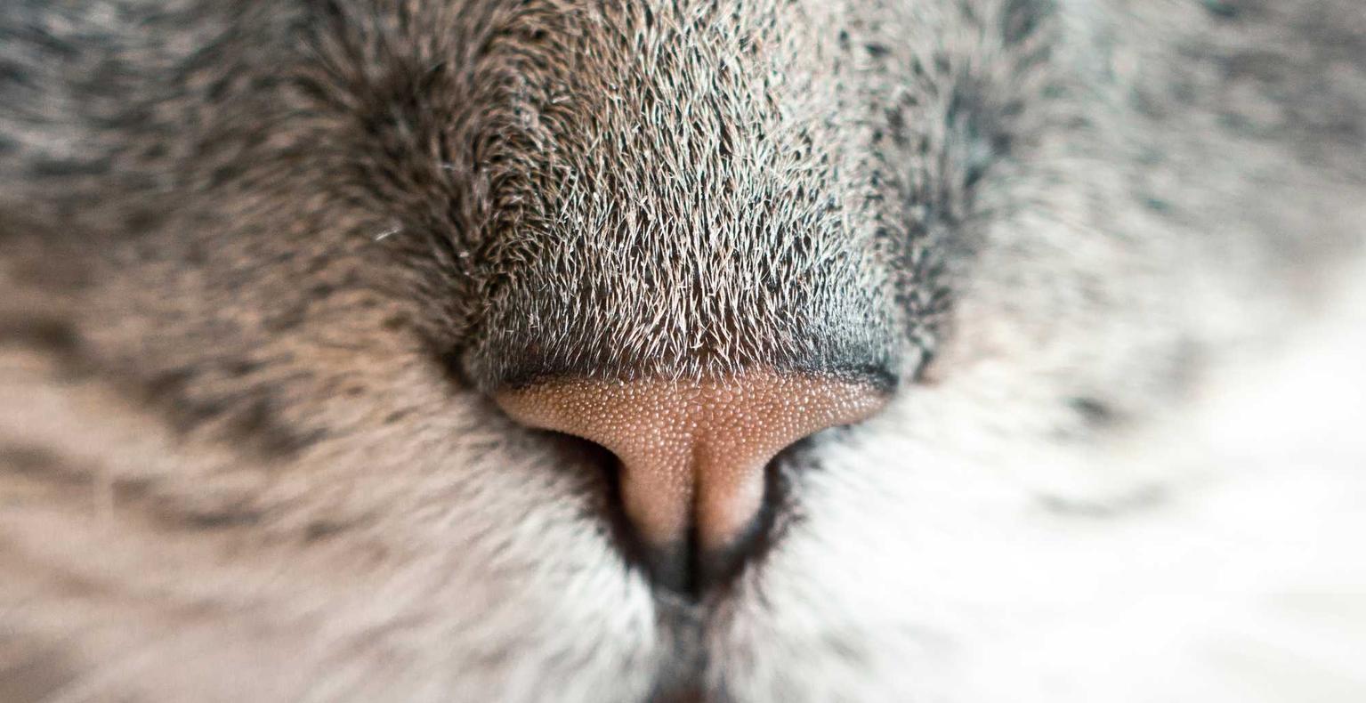 私人微信号:遗忘传说2怎样注册账号