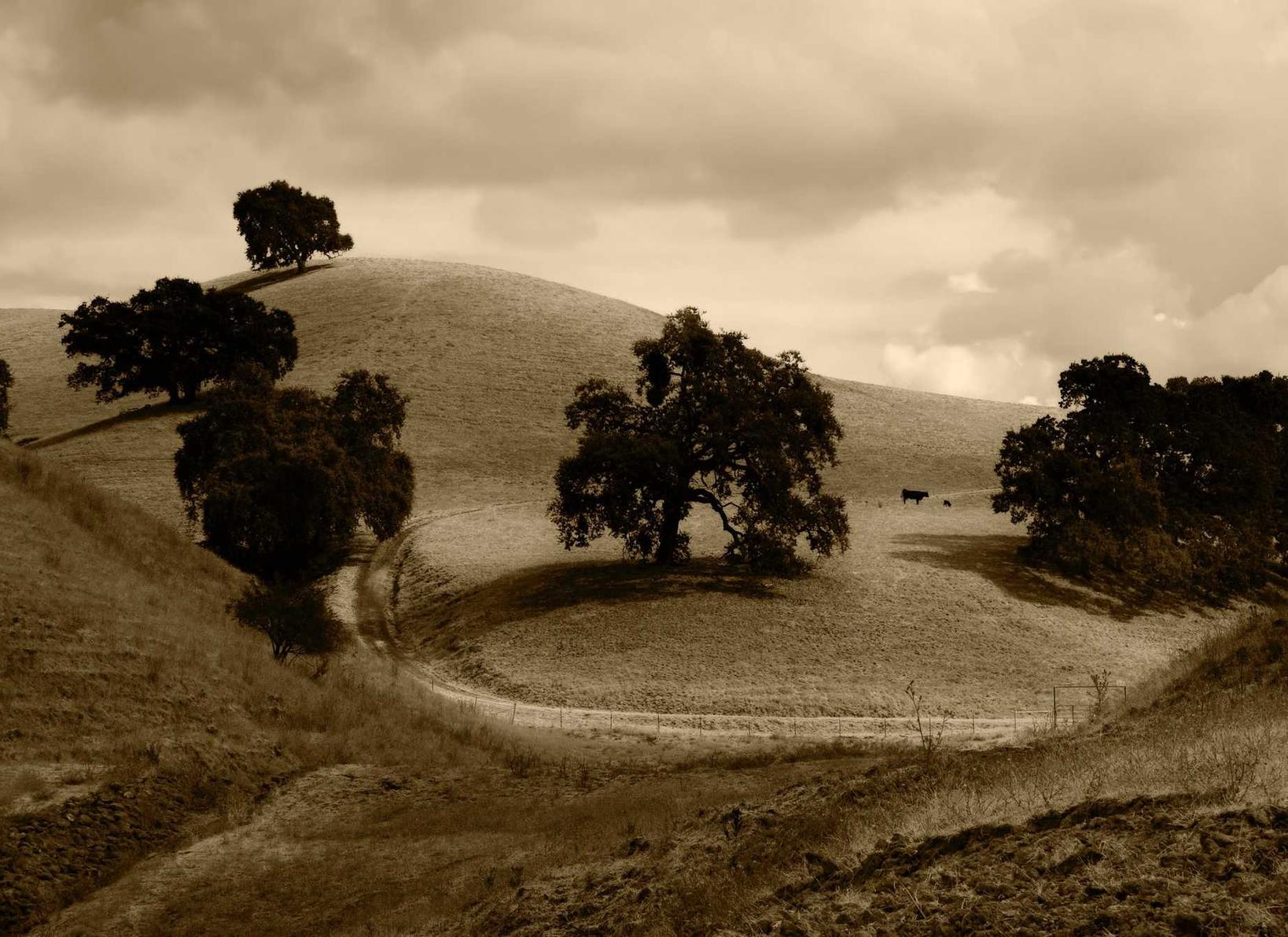 如何避免重复内容对SEO的影响