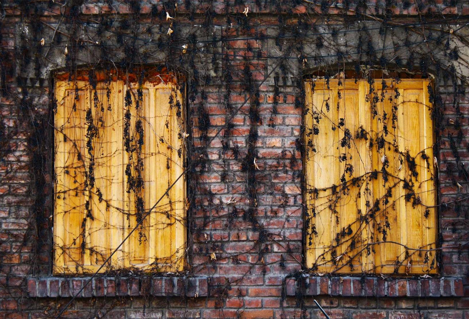 野草云实名账号：招直播平台代理