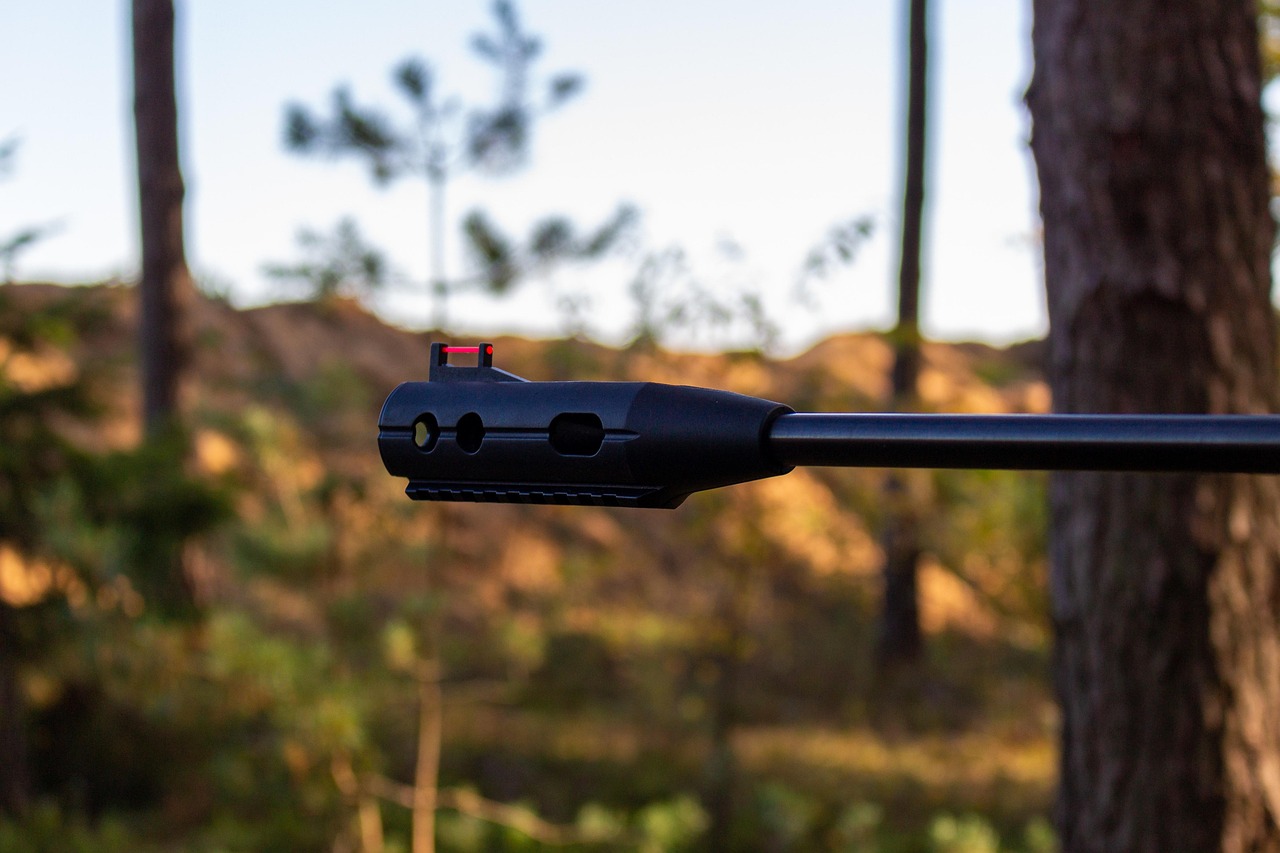 光明大陆:临安代理商标注册价格咨询