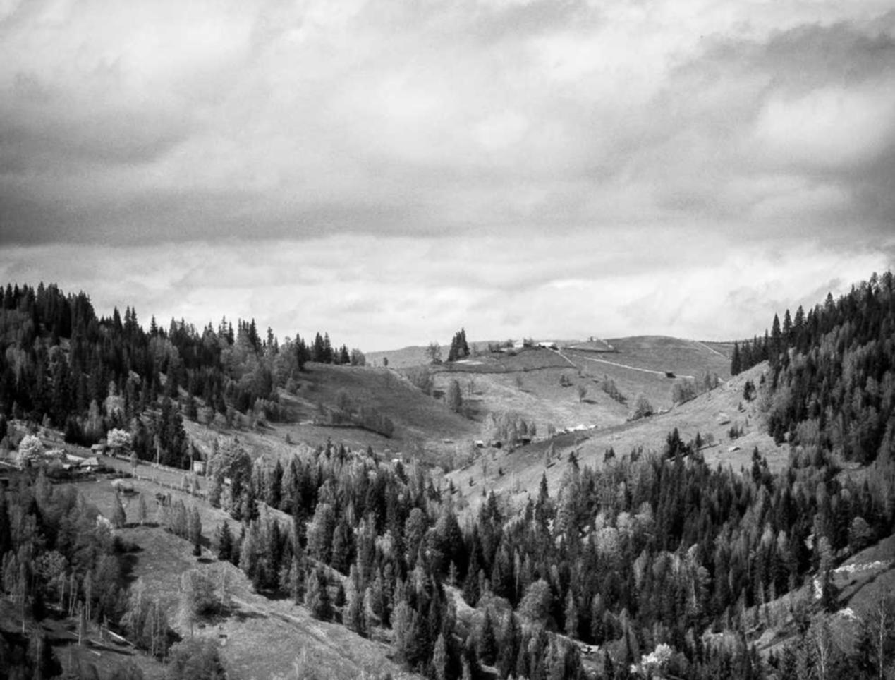 香烟的价格和消费行为