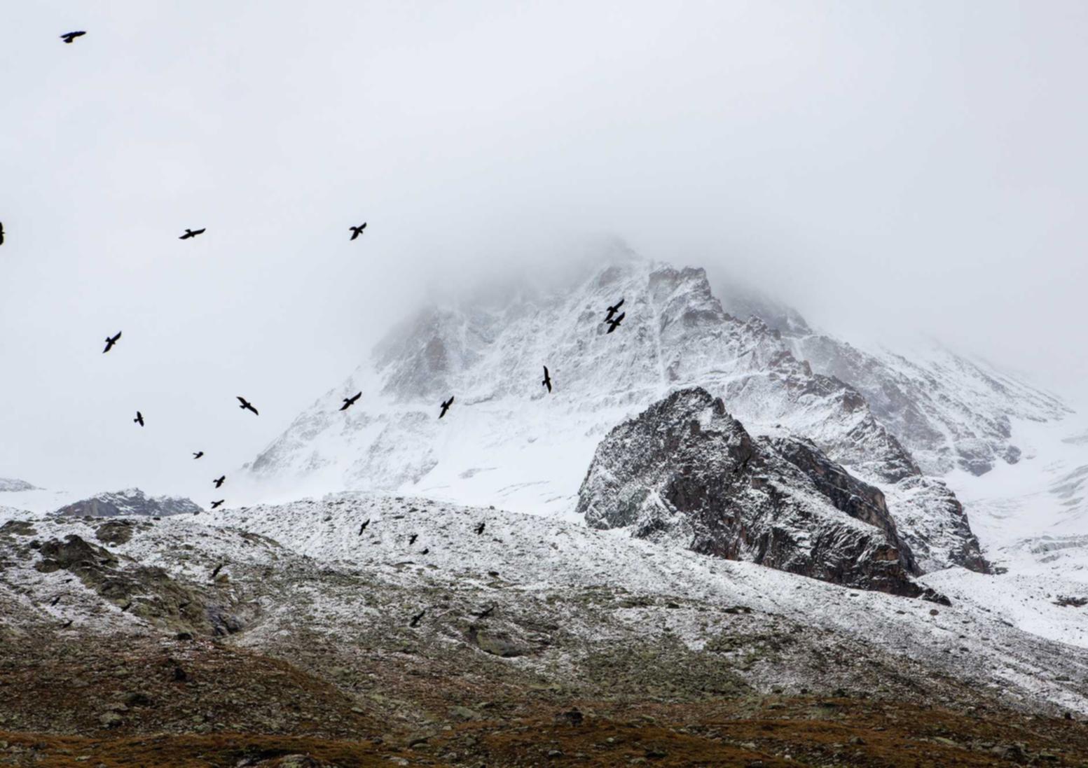花田实名账号:paywatch手表详情下载教程app