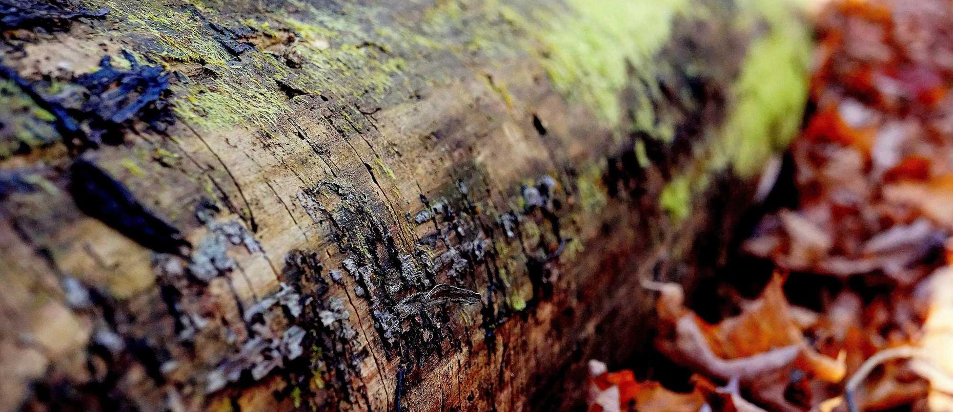 南开代理公司注册哪家好