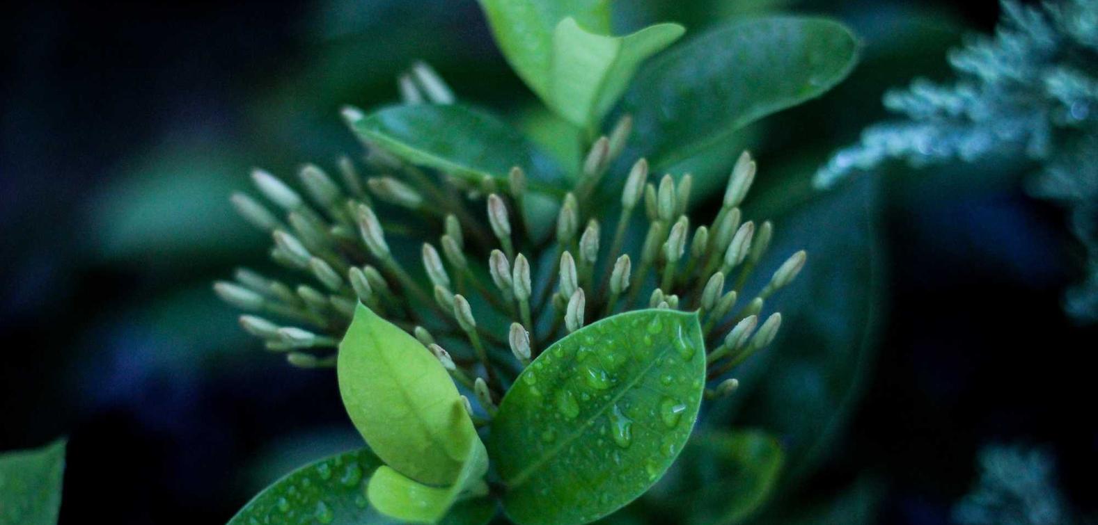 仙境传说RO辅助- 香港加急注册公司代理