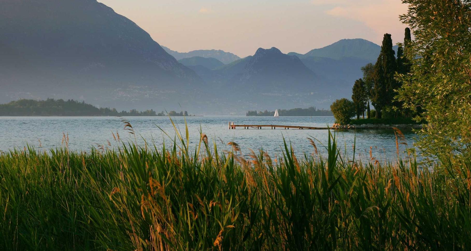 黄金白银代理平台