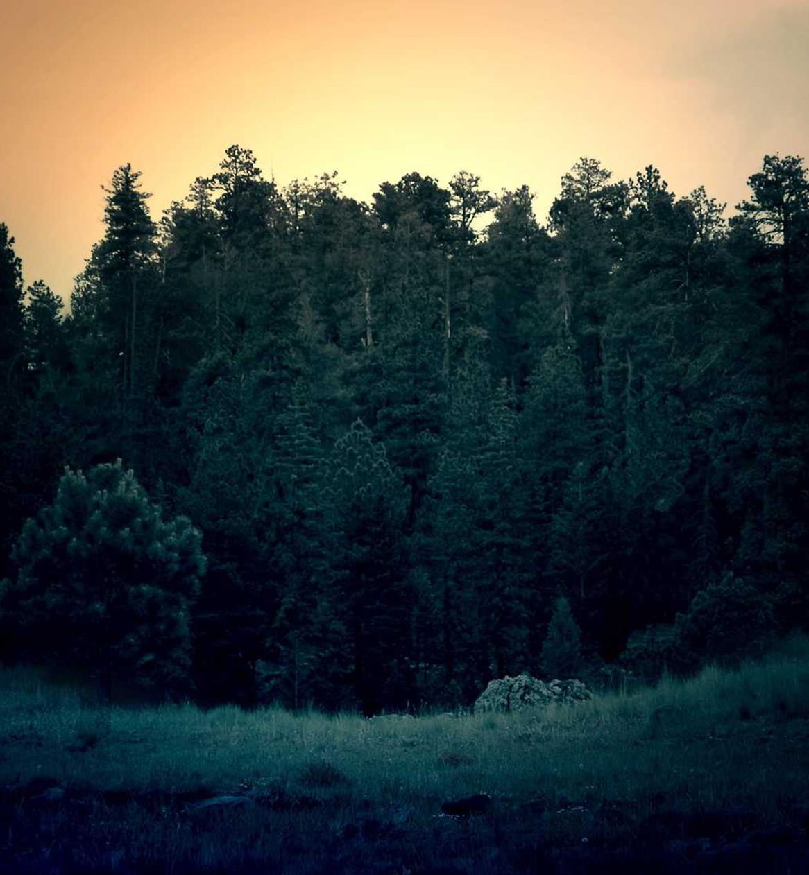 DDOS攻击平台|mba代理平台