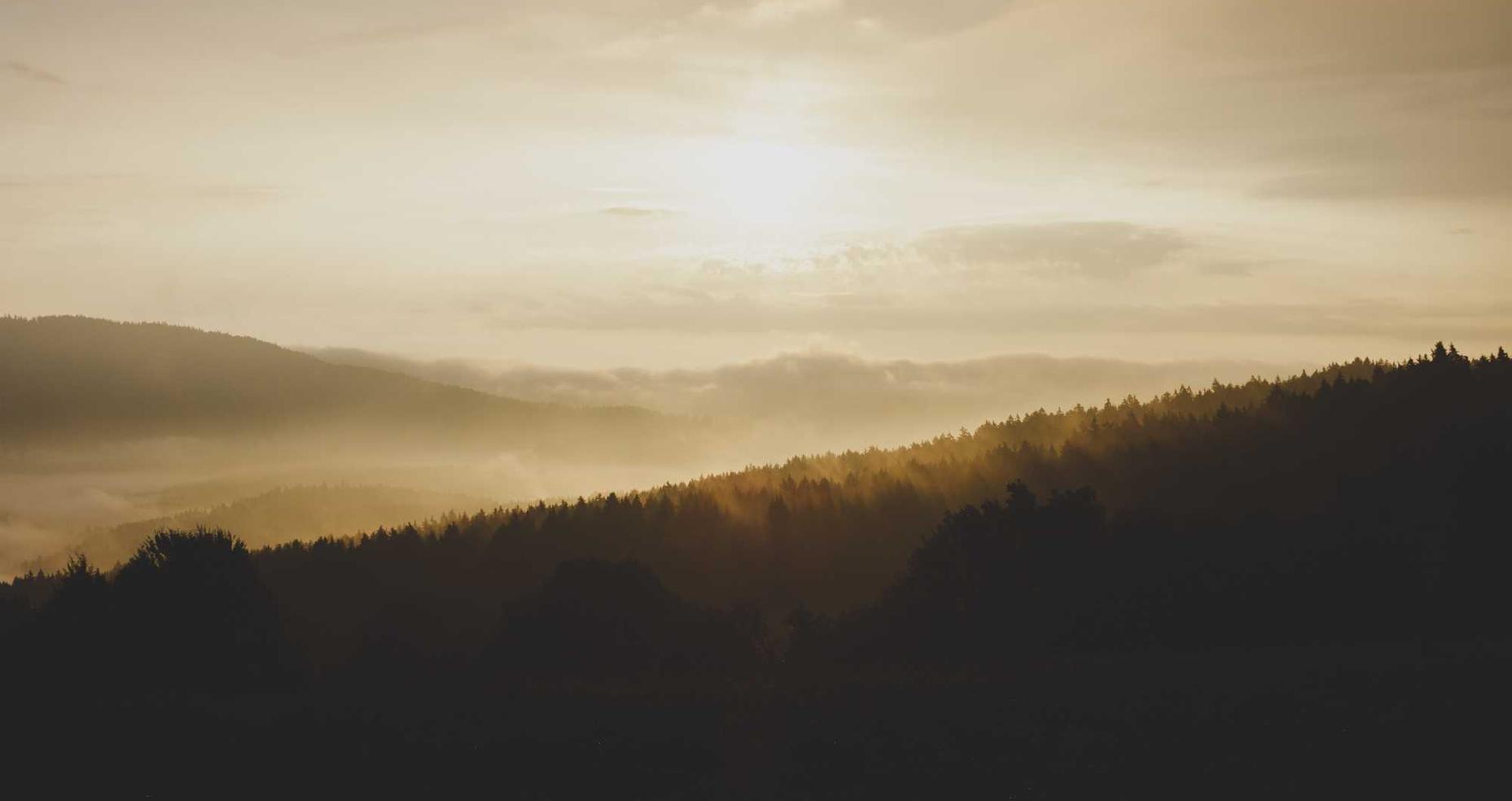 DDOS攻击器|整合营销平台代理怎么做