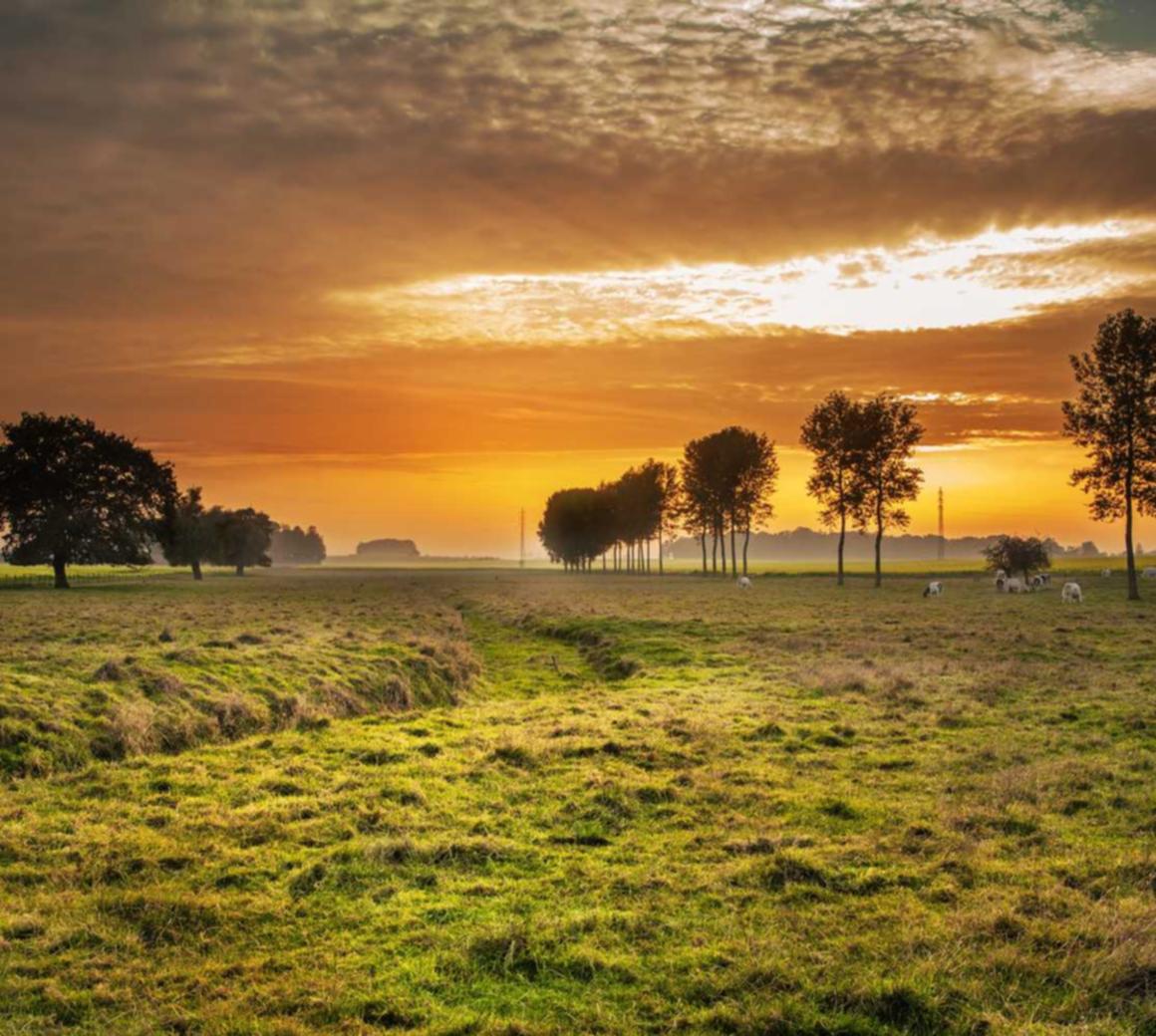 出售微信号码:实名认证是否能切实保障用户数据的安全