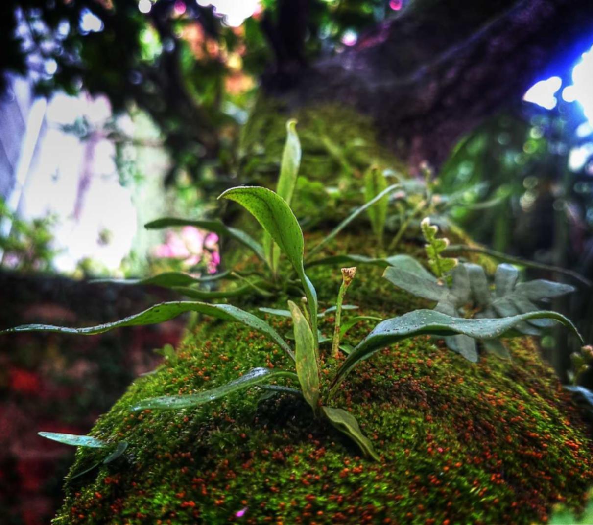 “黑客”是谁?区分黑帽和白帽