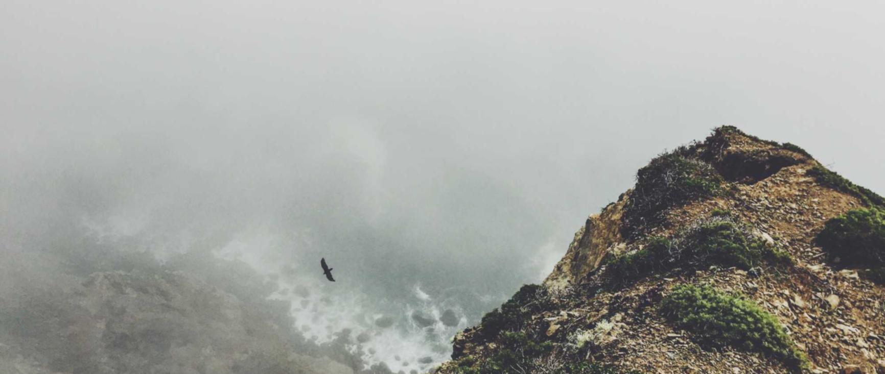 可乐2娱乐,注册|如何建立有效的邮件营销策略